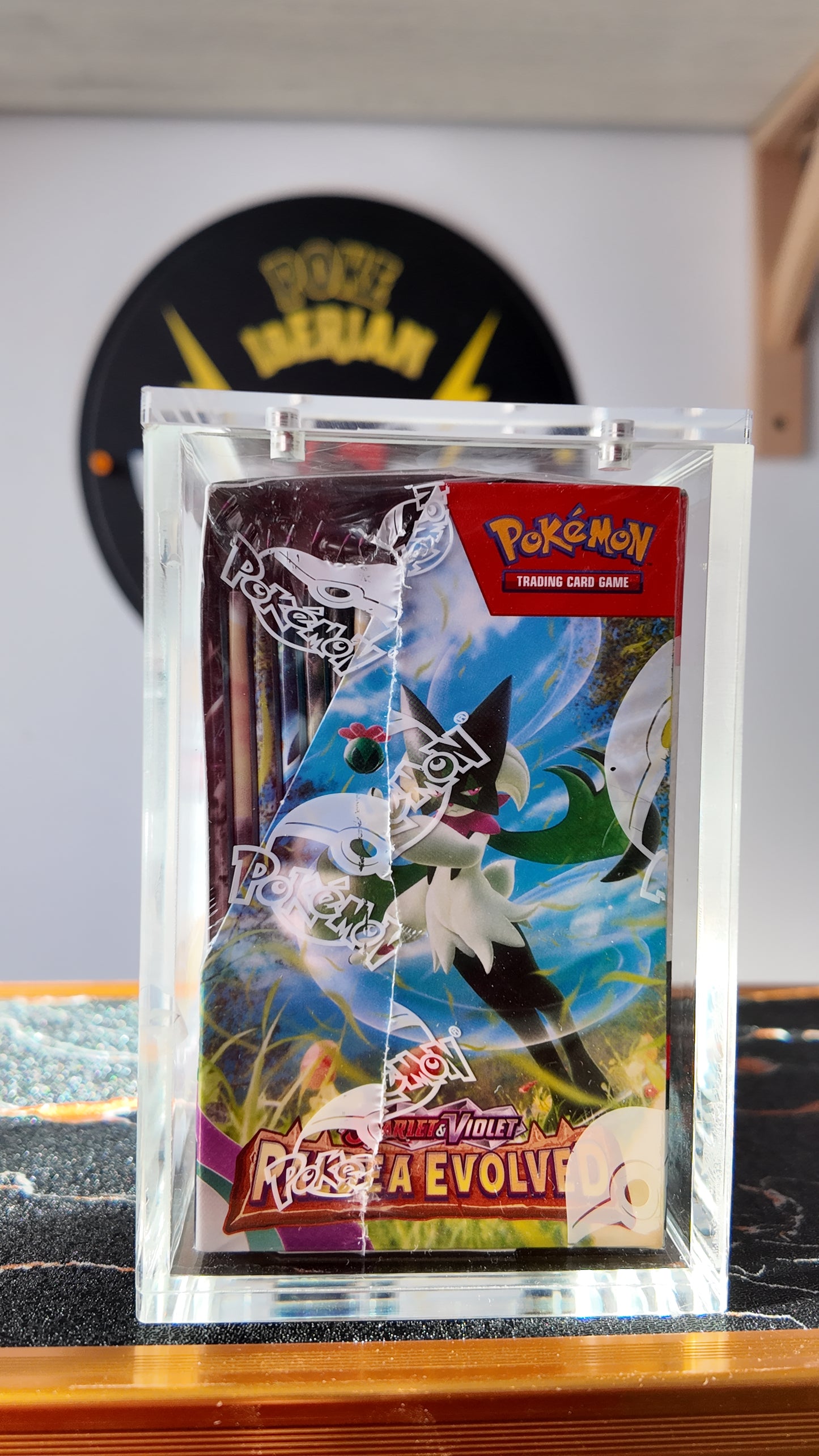 Booster Box Paldea Evolved ,sellada , Ingles + acrílico